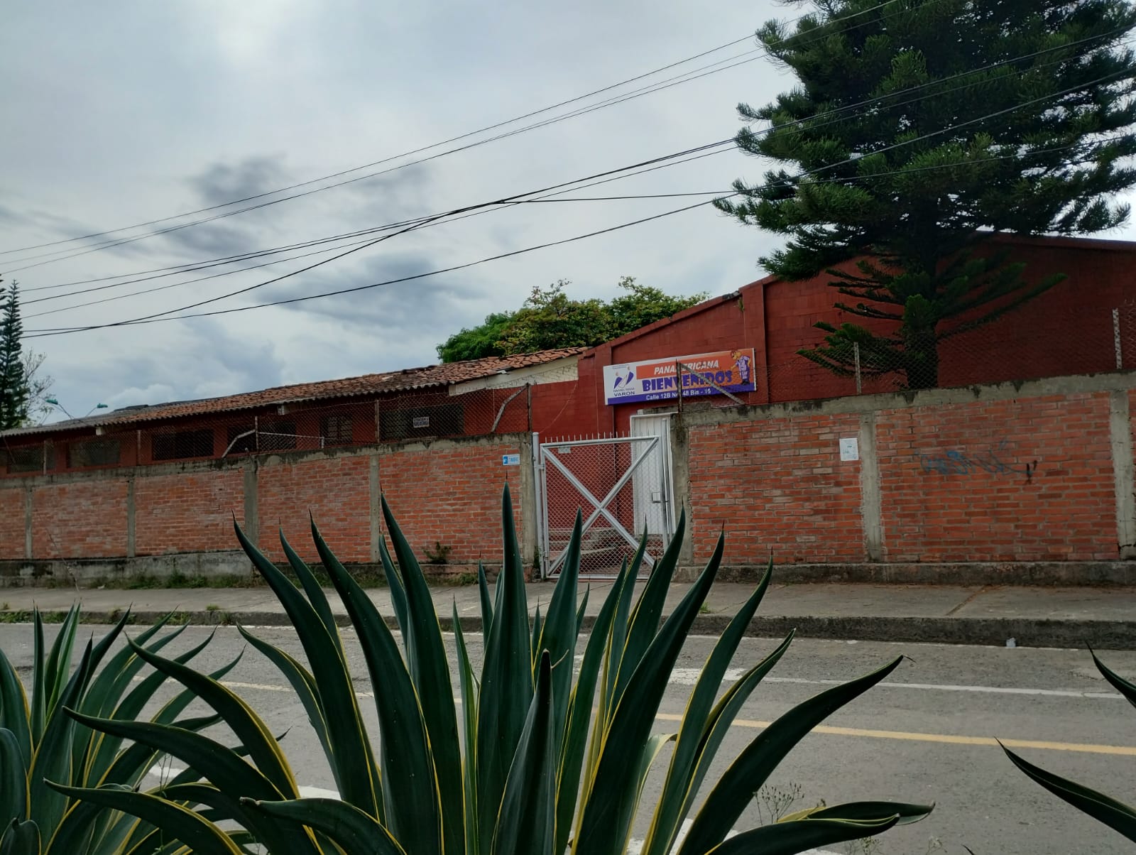Descripción de la imagen